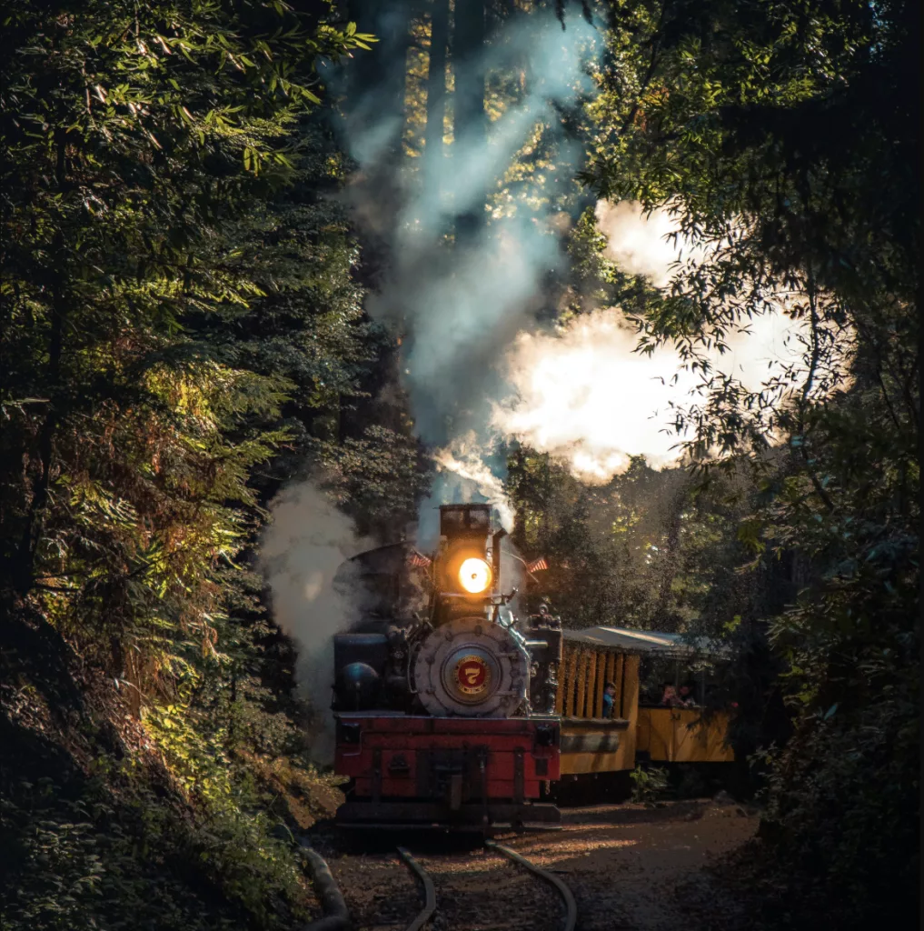Der Zug rollt - KI Pflichtschulung seit Februar 2025 verpflichtend